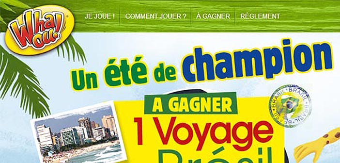 Grand Jeu Whaou Un Été de Champion