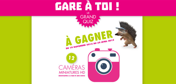 Grand Jeu Gare à toi