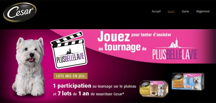 Grand Jeu Cesar Plus Belle La Vie