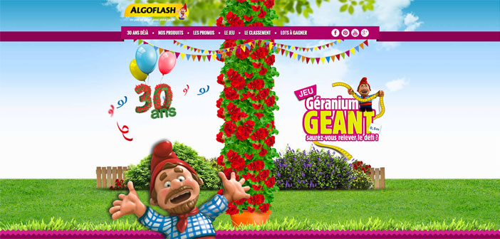 Grand Jeu Algoflash 30 ans