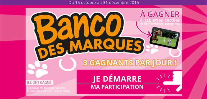 Grand Jeu Banco des Marques