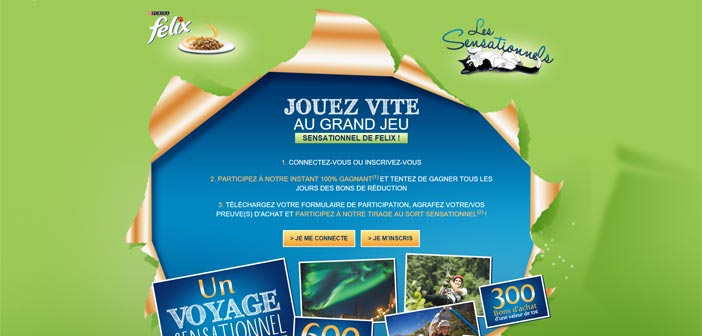 Grand Jeu Felix Les Sensationnels