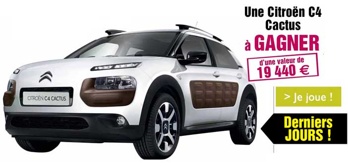 Jeu Blanche Porte Citroen C4 Cactus
