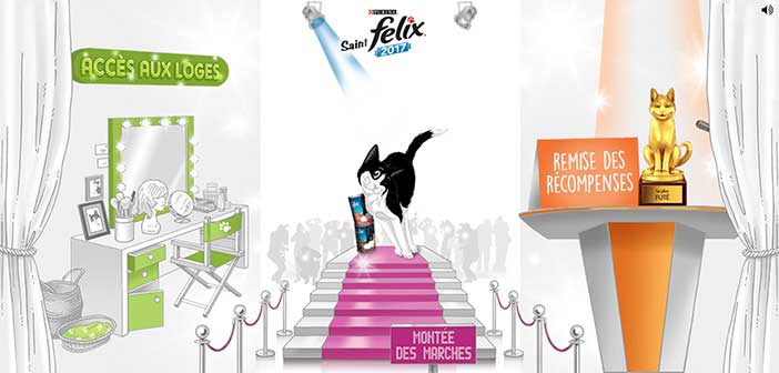 Grand Jeu Purina Saint Felix 2017