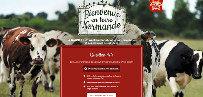 Jeu Coeur de Lion Terre Normande