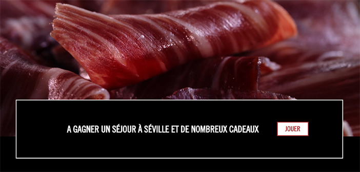 pata-negra.labeyrie.com - Jeu Labeyrie L'Art du Pata Negra