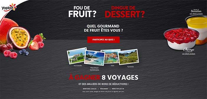 Jeupanier.yoplait.fr - Jeu Panier de Yoplait