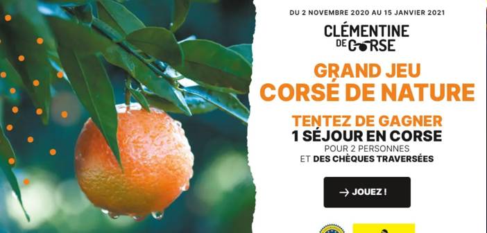 www.clementinedecorse.fr - Grand Jeu Corsé de Nature