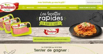 www.tendriade.fr - Jeu Tendriade Les Recettes Rapides