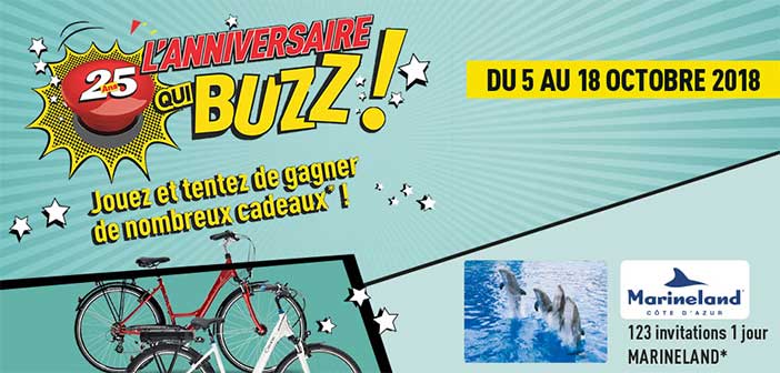 www.anniversairequibuzz.com - Jeu Brico Dépôt l'Anniversaire qui buzz