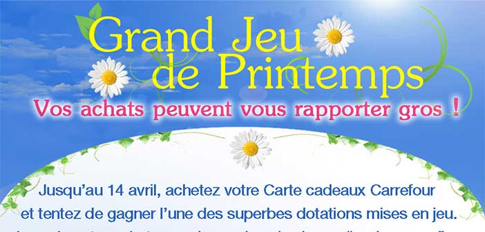 www.cartecadeau.carrefour.fr - Grand Jeu Cartes Cadeaux Carrefour