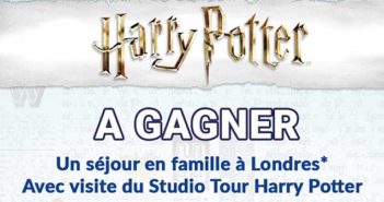 www.lagranderecre.fr - Jeu Harry Potter La Grande Récré