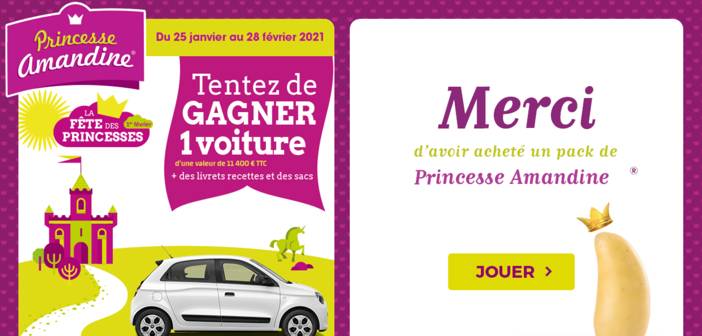 www.princesseamandine.fr - Jeu Fête des princesses 2021