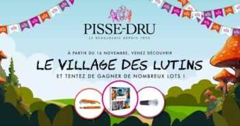 Jeu Le Vignoble des Lutins Pisse-Dru Primeurs.pisse-dru.fr