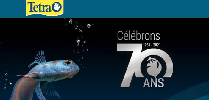 www.tetra70ans.fr - Grand Jeu Anniversaire Tetra 70 ans