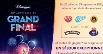 www.mavieencouleurs.fr Grand Jeu Disneyland Paris 30 ans
