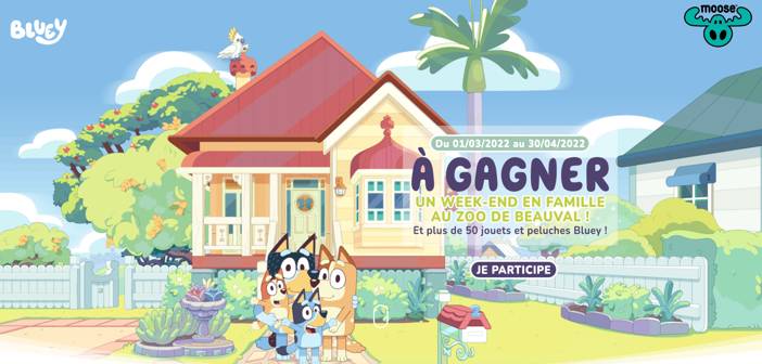 www.moosetoys-concours.fr - Grand Jeu Bluey Moose Toys